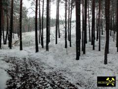 Endmoränen-Landschaft des Niederlausitzer Grenzwalls am Königsberg bei Gehren, Niederlausitz-Spreewald, Brandenburg, (D) (1) 24.01.2015.JPG